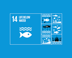 SDG 14