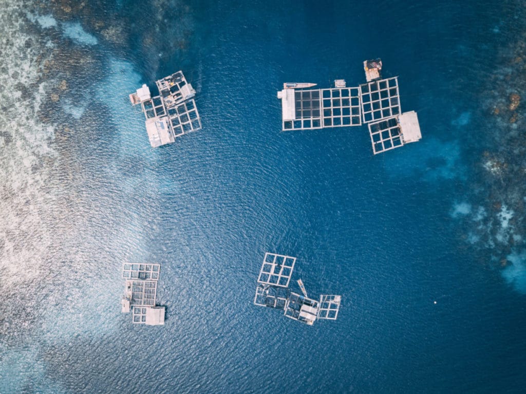 Aquaculture