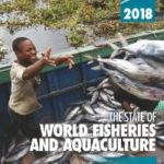 FAO Fisheries 2018